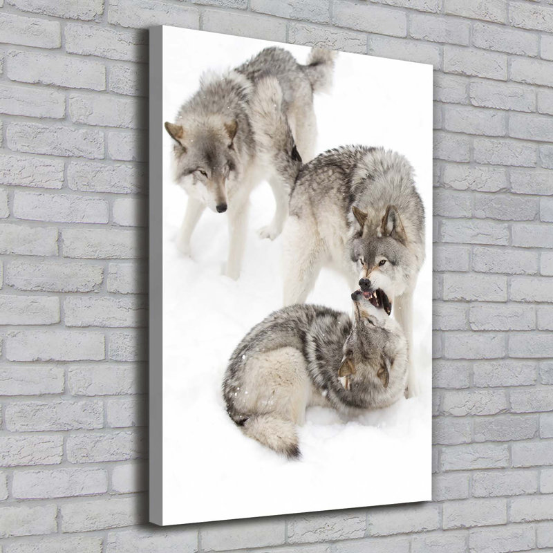 Gray Wolves - Wrapped Canvas Print