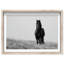 Lone Stallion I Print by Oliver Gal-260064177-260064189