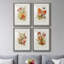 Antique Floral Bouquet I - Ensemble de 4 reproductions de cadres photo-1690275775-1690275772