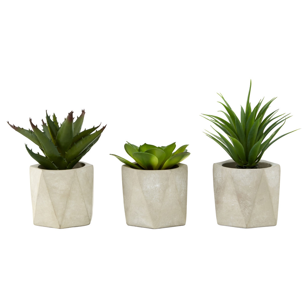 Sydnee 3 Piece Succulent in Pot Set
