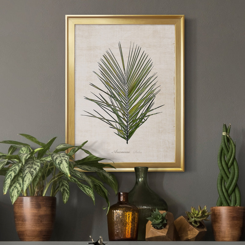 Palmier botanique I - impression, H 22,5 po x l 30,5 po x P 1,5 po, Or