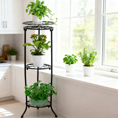 3-Tier Plant Stand Indoor Outdoor, 35 Inch Tall Plant Shelf With Round Pot Holders, Heavy Duty Plant Rack For Patio Balcony Garden Living Room by Arlmont & Co.