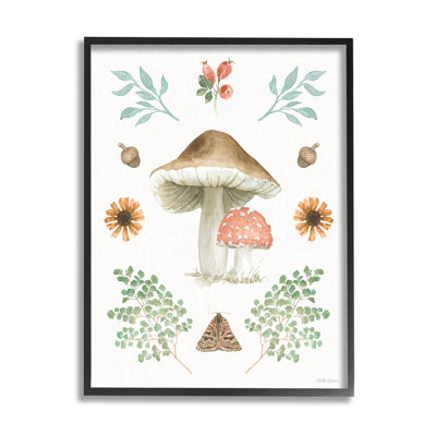 «Stupell Industries Moth & Mushroom», peinture sur toile par Beth Grove