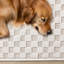 Tapis texturé bouclé Cano-1787294869