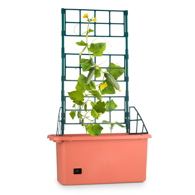 Planter Box