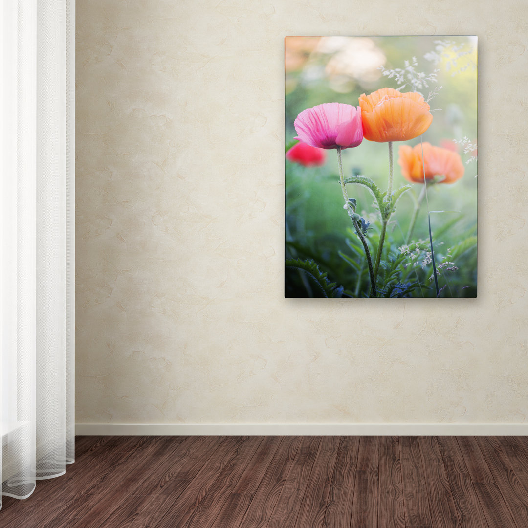 Modern & Contemporary Trademark Fine Art 