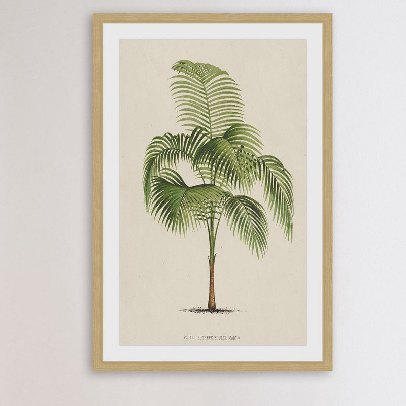 "Les Palmiers I", reproduction encadrée, H 18 po x l 12 po x P 1,5 po