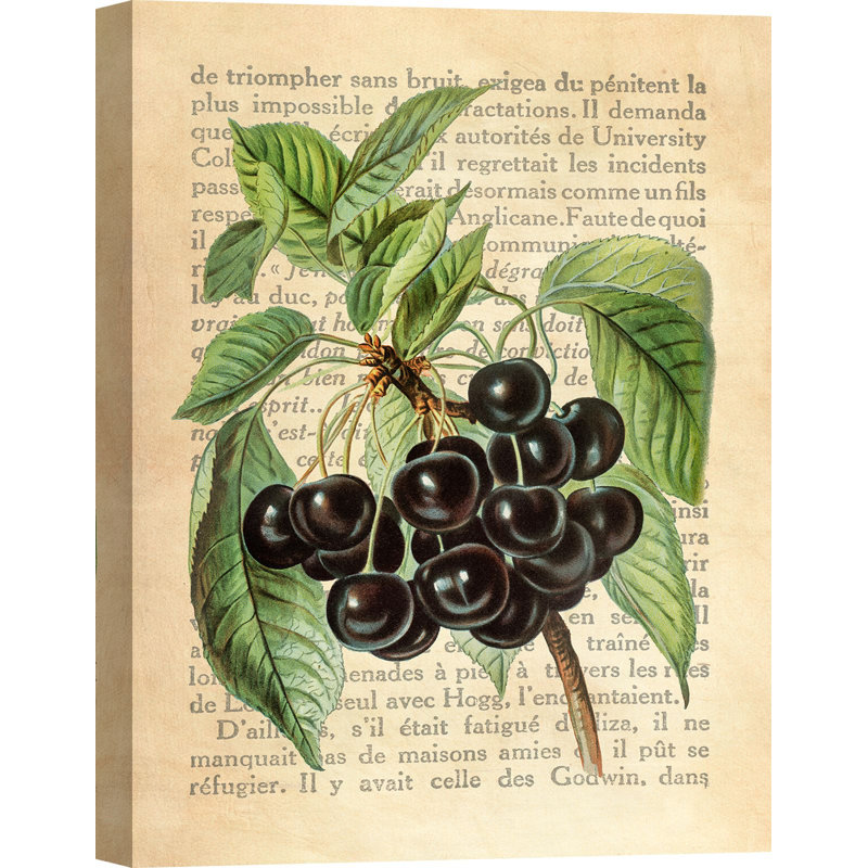 Cherries, After J. Wright by Remy Dellal - Wrapped Canvas Art Prints, 100cm H x 70cm W x 4cm D