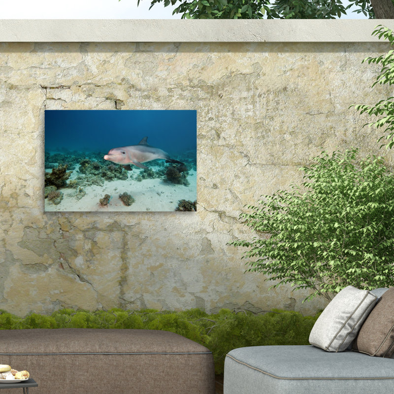 Animals Wall Decor, 16'' H x 24'' W
