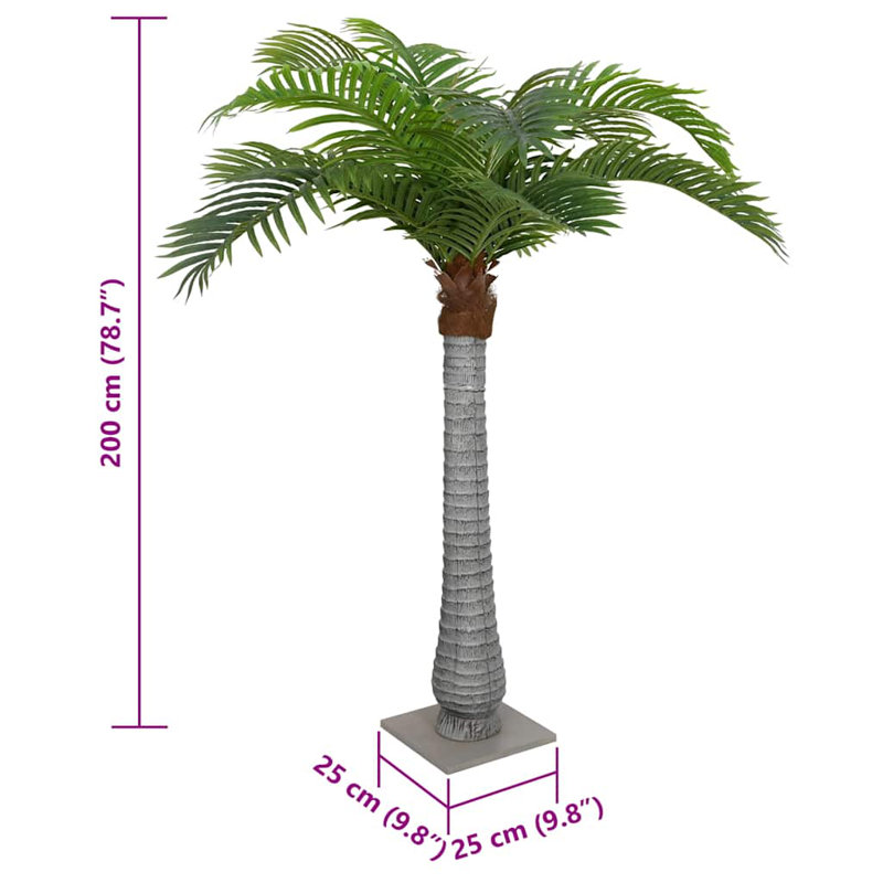 200cm Plant