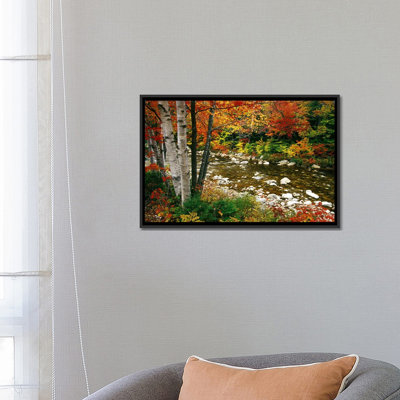 " Autumn Landscape, Swift River, White Mountains, New Hampshire, USA " by Darrell Gulin