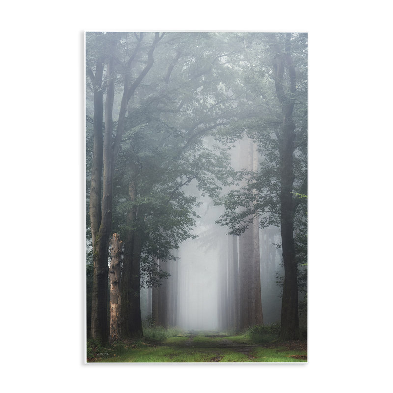 Plaque murale Calm Forest Clearing, design par Martin Podt, H 15 po x l 10 po