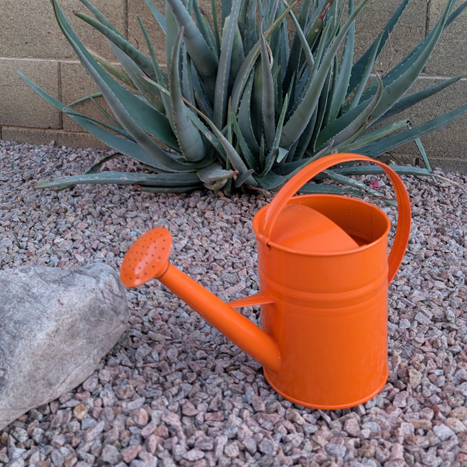 Enameled Galvanized Steel Watering Can 1 Gal. - Blue