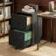 Lockable Mobile 2-Drawer Filing Cabinet