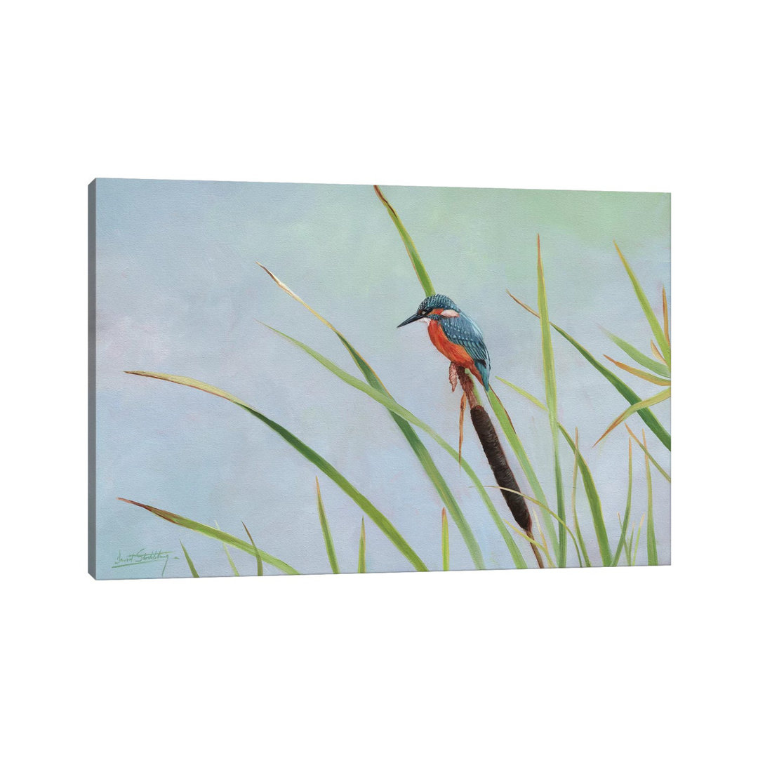 Kingfisher Perched Among The Reeds by David Stribbling - Wrapped Canvas Gallery-Wrapped Canvas Giclée
