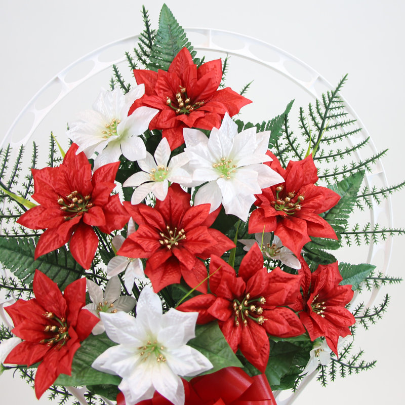 Poinsettia de Noël dans un panier, Rouge / blanc