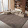 Jiang Area Rug in Taupe