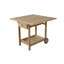 DANICA SERVING CART