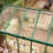 8 x 10/12FT Polycarbonate Walk-in Greenhouse with Roof Vent, Aluminum Frame Large Garden Greenhouse for Outdoors-121768551-121768555