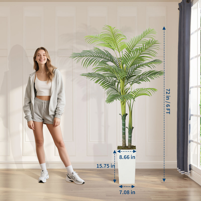 180cm Plant