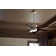 Bhram 48'' Ceiling Fan with LED Lights