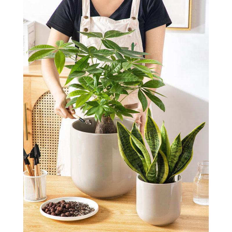 Ceramic Pot Planter, Grey