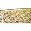 Hand Knotted Wool Area Rug in Blue And Gold