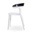 Ensemble de 2 chaises d'appoint de salle à manger d'extérieur Modern-1690667288