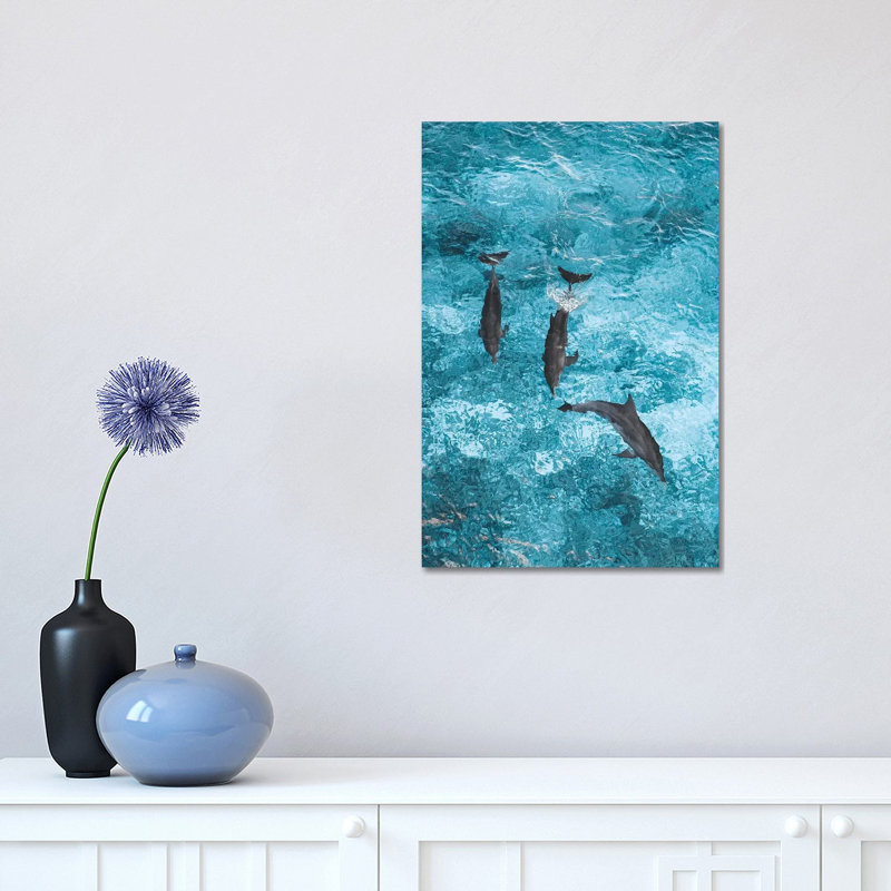 Maldives Dolphins Ocean Aerial by James Vodicka - Wrapped Canvas Gallery-Wrapped Canvas Giclée, 45.72cm H x 30.48cm W