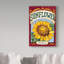 'Large Sunflower Seed Packet' Textual Art on Wrapped Canvas-31878679