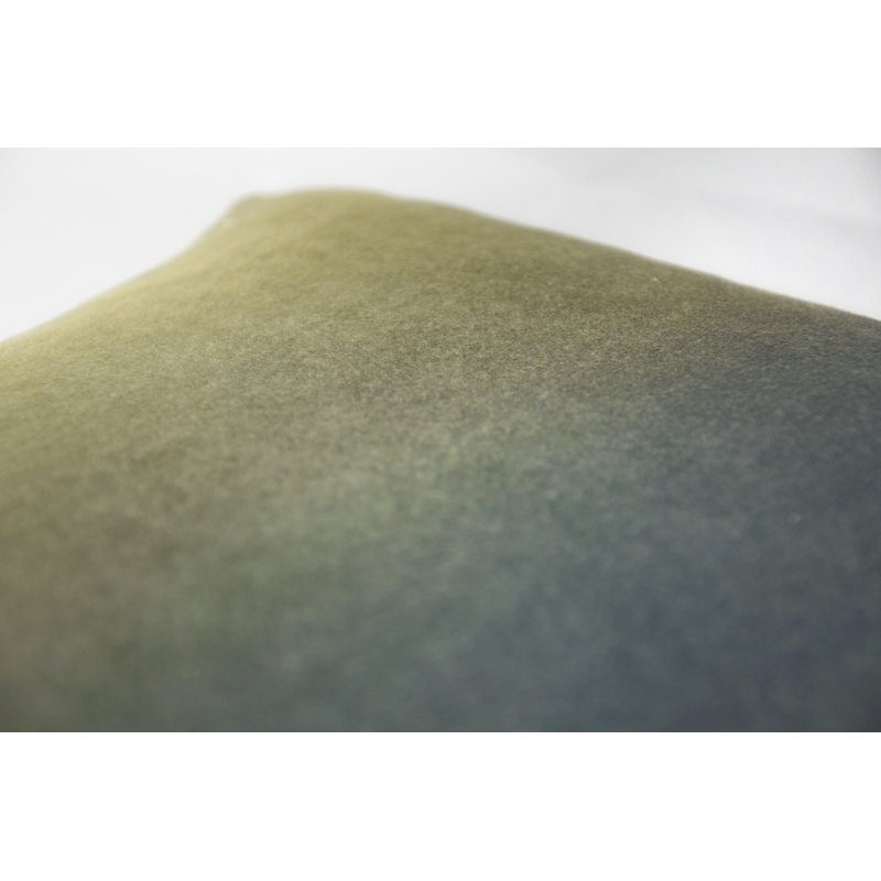 Matte Velvet Pillow Cover & Insert, Cactus, Rectangle 14"H x 20"W