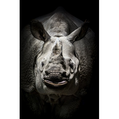 Rhino Portrait by Zocha_K