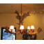 Landry 6 - Light Chandelier-542720438