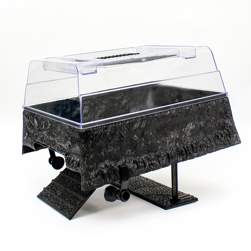 Terrarium de 55 gallons au-dessus d'un réservoir