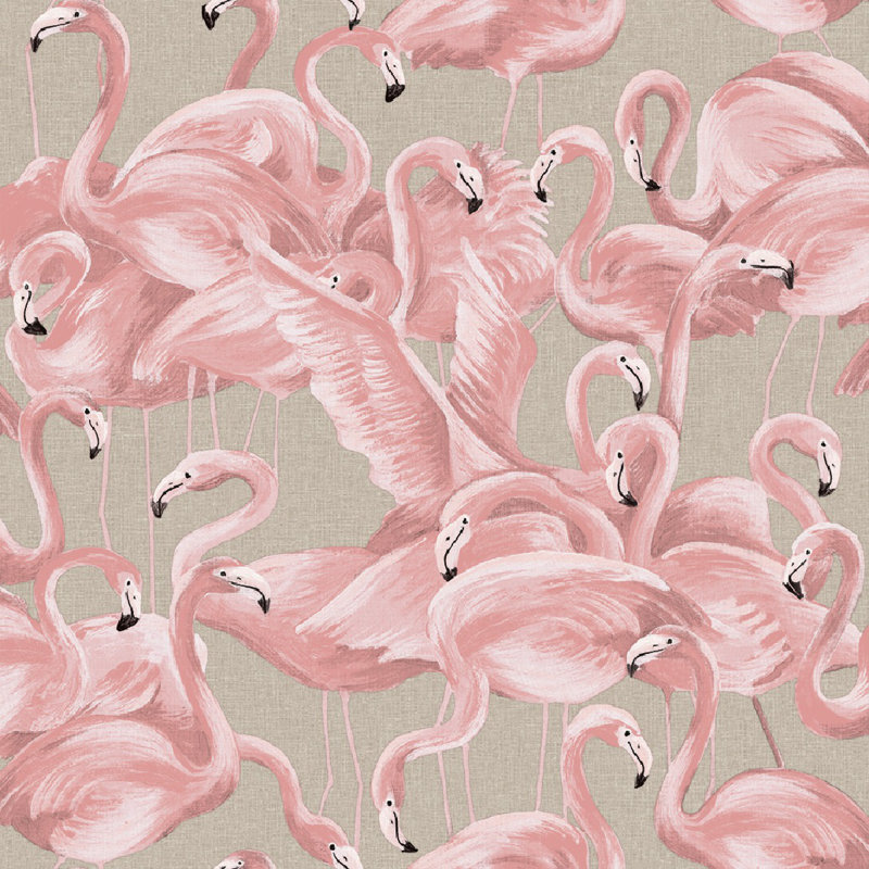 Papier peint adhésif Flamingo, Rose ballerine