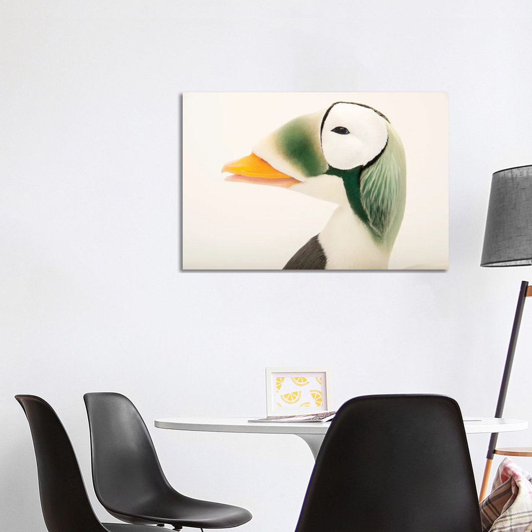 A Federally Threatened Male Spectacled Eider at the Alaska Sealife Center by Joel Sartore - Gallery-Wrapped Canvas Giclé...