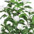 Artificial Magnolia Flower Tree in Pot-2039359915