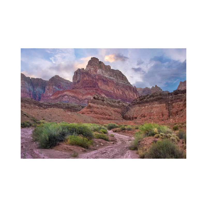 Desert And Cliffs, Vermilion Cliffs National Monument, Arizona by Tim Fitzharris - Wrapped Canvas Print