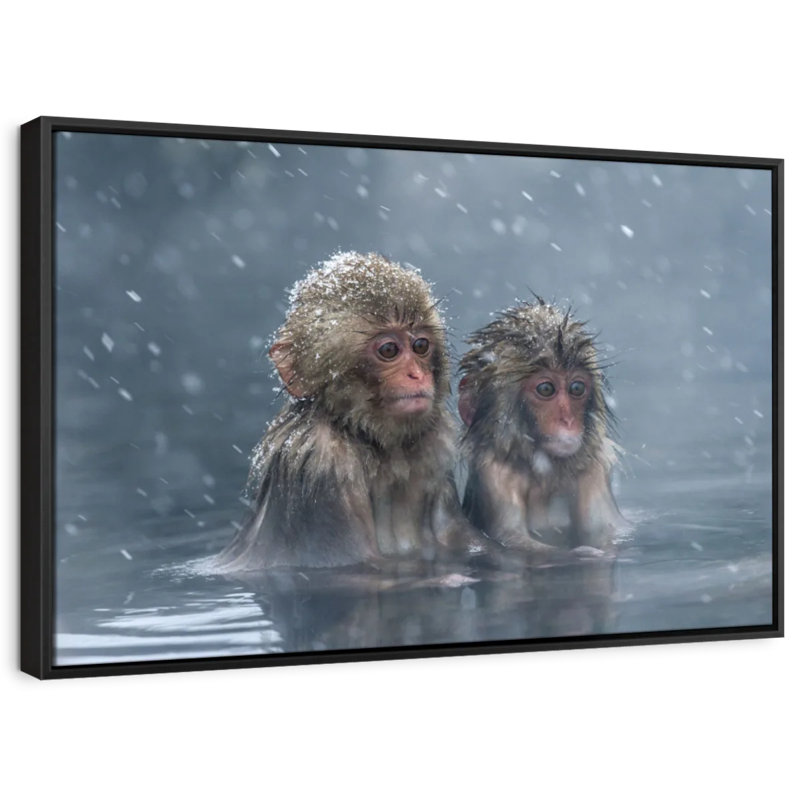Monkey Duo, reproduction sur toile, H 25 po x l 37 po