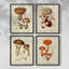 «Mushroom Variétés I», ensemble de 4 encadrées-434044224-434044227