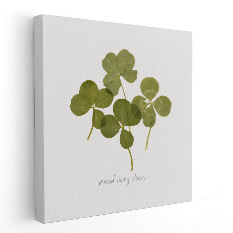 Pressed Clover I - reproduction d'art sur toile, H 16 po x l 16 po