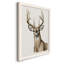 Colchique Handsome Whitetail I - reproduction de photo sur cadre simple-88378435-88378441