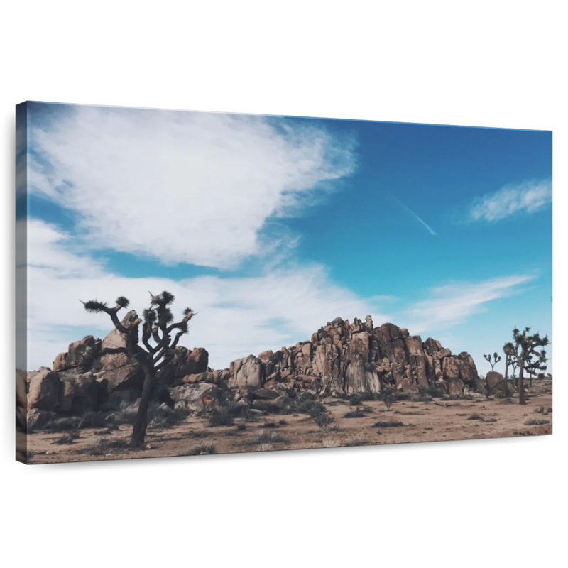 Nicci Joshua Tree Mastodon Peak, H 30 po x l 45 po