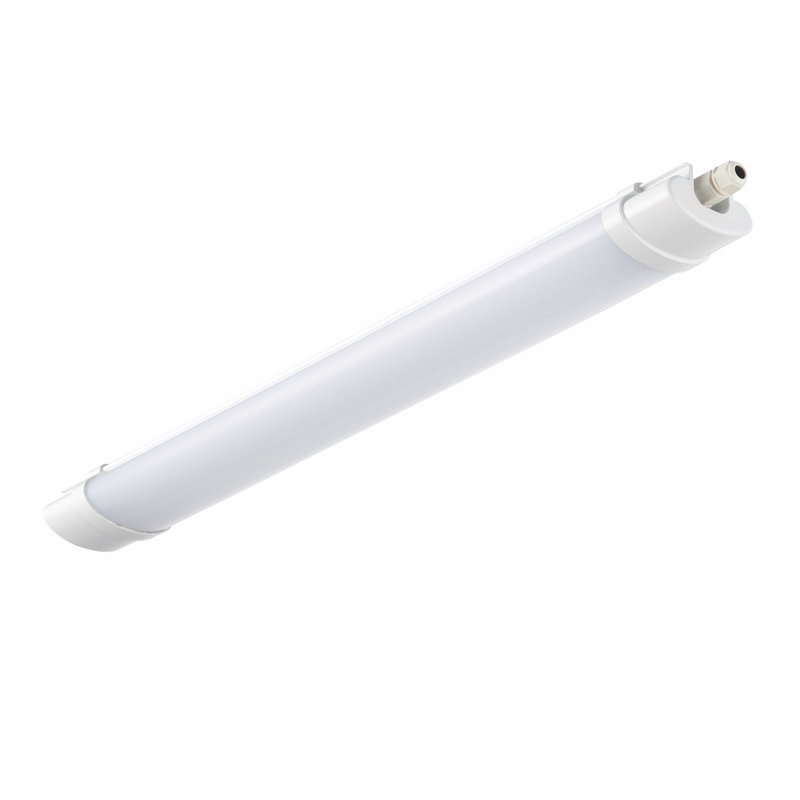 White 7 W