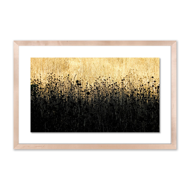 Field Of Dreams Print by Geoffrey Baris, Natural, 16" H x 24" W x 1.5" D