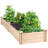 Cisbrough Multi-sized Outdoor Fir Wood Elevated Planter Box for Yard-1209475034-1260006838