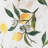 White Ceramic Vase with Yellow Lemon Motif-1695037283