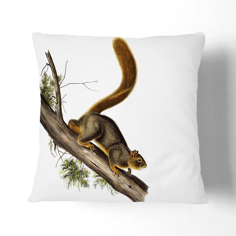 Square Throw Cushion, White, 40cm H x 40cm W x 15cm D