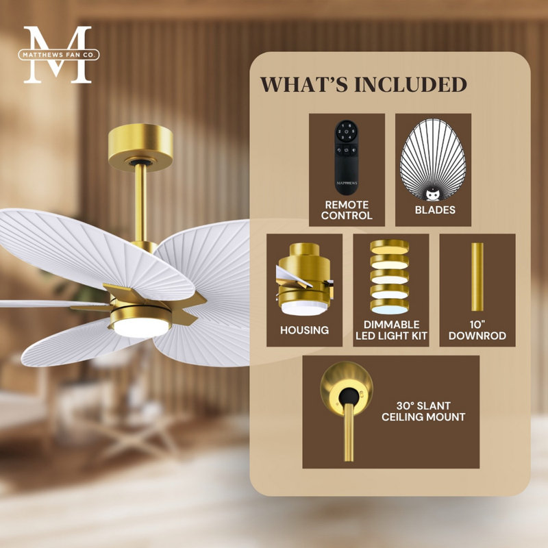 Alessandra Tropical - Five Blade Ceiling Fan - Integrated LED -Matte Black Finish -Light Blue Blades, Brushed Brass