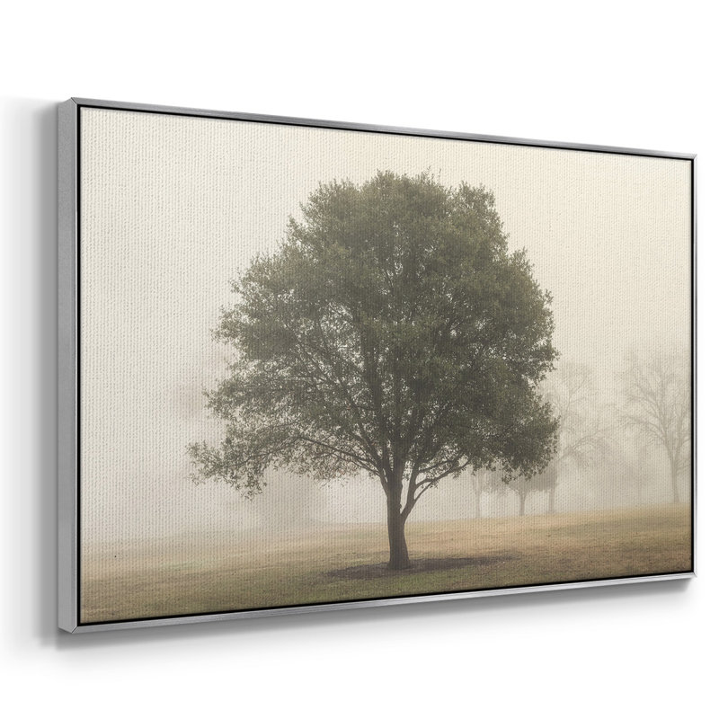 «Trees in the Fog I», reproduction encadrée sur toile, Argent, H 27 po x l 41 po x P 2 po
